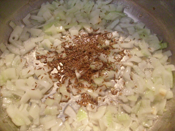 Segedín (fotorecept) - obrázok 2