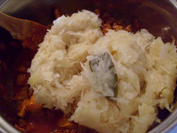 Segedín (fotorecept) - obrázok 5