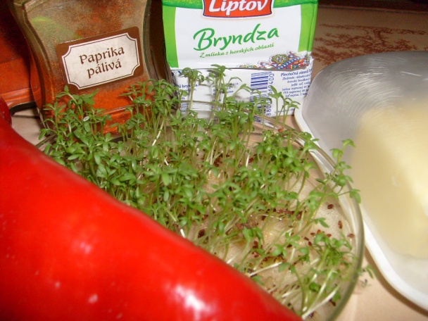 Volanie jari (fotorecept) - obrázok 2