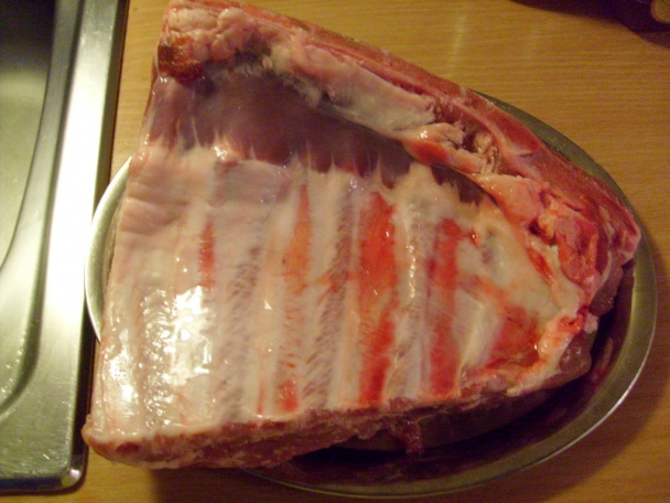 Trčiace rebrá (fotorecept) - obrázok 1