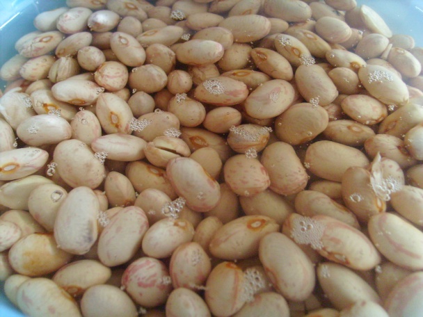 Papriková fazuľačka (fotorecept) - obrázok 2