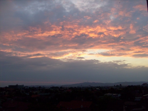 Polodivá svinka (fotorecept) - obrázok 14