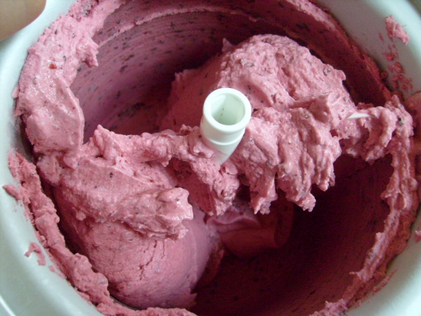 Prvý mrázik (fotorecept) - obrázok 5