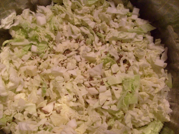 Enerrgická morčia noha (fotorecept) - obrázok 7