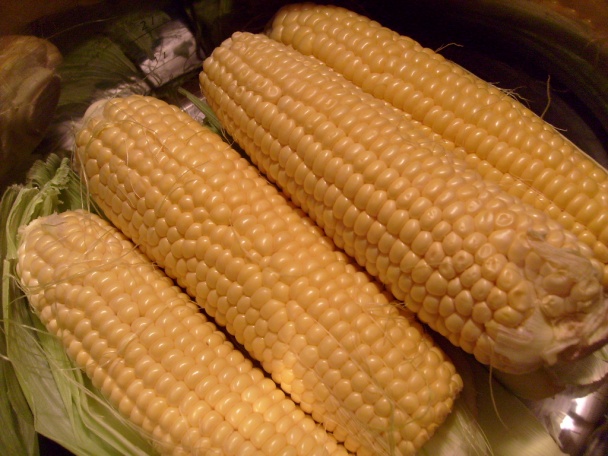 Dar vládcu Inkov (fotorecept) - obrázok 1