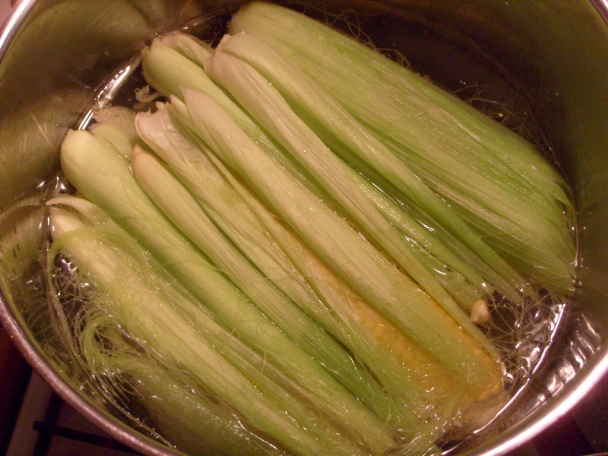 Dar vládcu Inkov (fotorecept) - obrázok 2