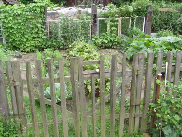 Óda na záhradu (fotorecept) - obrázok 1