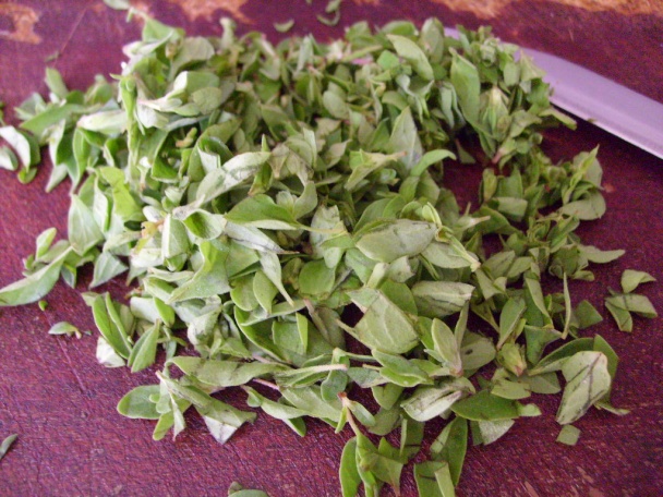 Podlisník (fotorecept) - obrázok 3