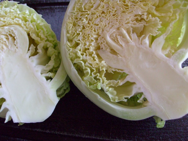 Gazdinej farebný obed (fotorecept) - obrázok 8