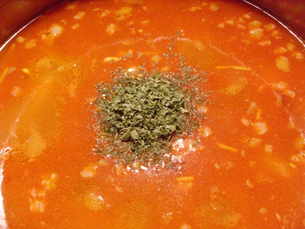 Zemeguláš (fotorecept) - obrázok 8