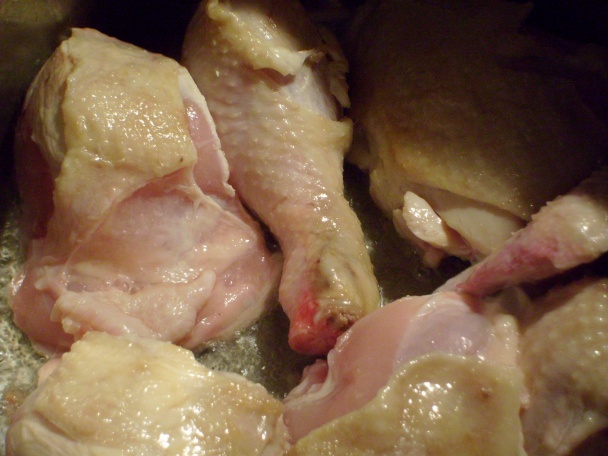 Perkeltoidné kura (fotorecept) - obrázok 2