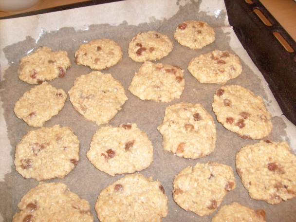 Ovsenky (fotorecept) - obrázok 3