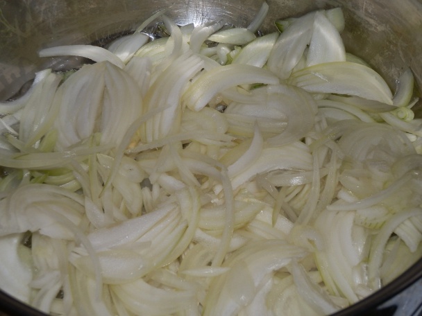 IC Soté (fotorecept) - obrázok 1