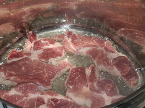 Lodivod dunajský (fotorecept) - obrázok 2