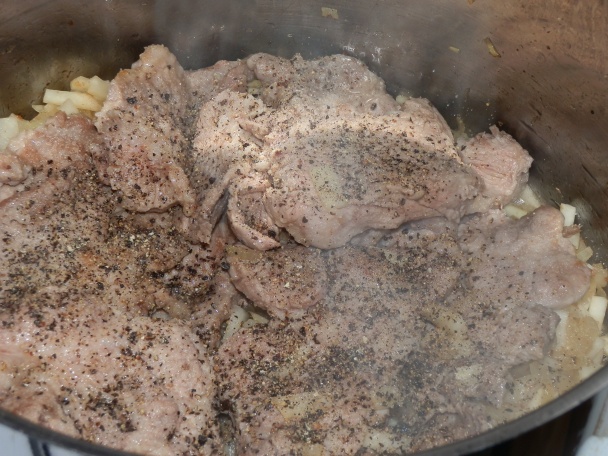 Lodivod dunajský (fotorecept) - obrázok 5