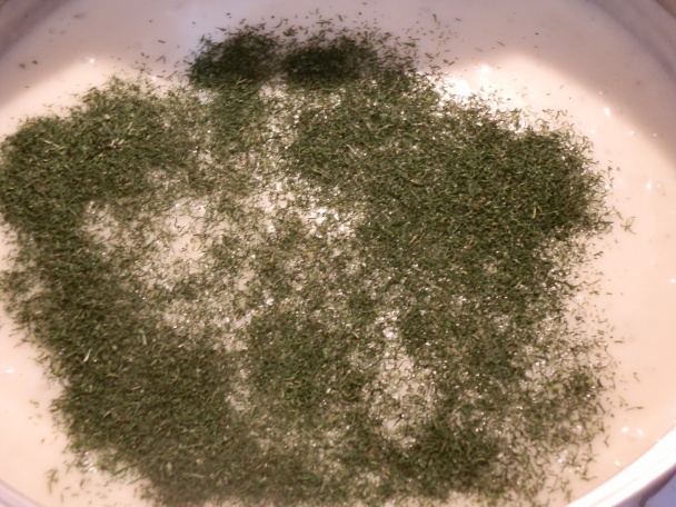 Kôprovka (fotorecept) - obrázok 4