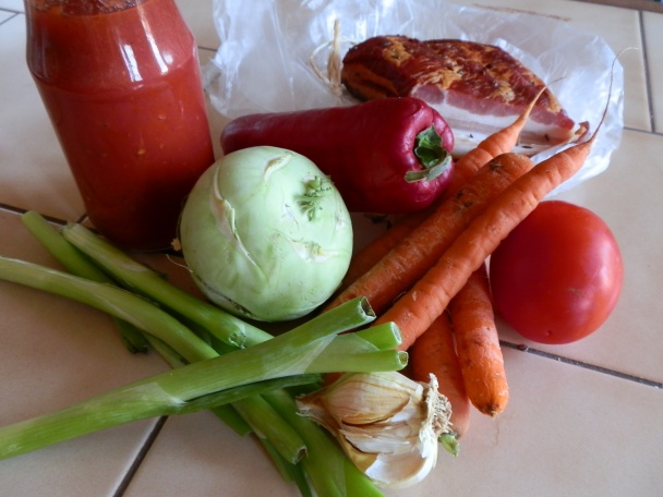 Europasta (fotorecept) - obrázok 1