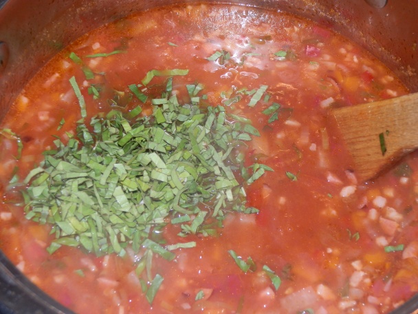 Europasta (fotorecept) - obrázok 13