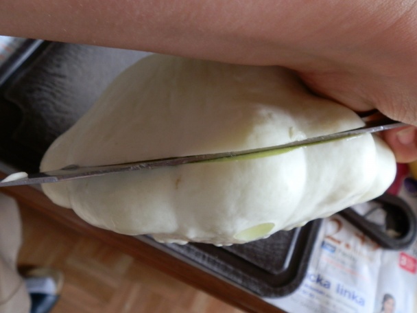 UFO (fotorecept) - obrázok 1