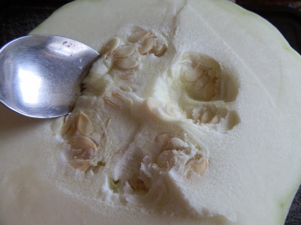 UFO (fotorecept) - obrázok 2