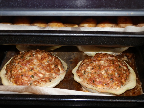 UFO (fotorecept) - obrázok 9