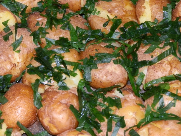 UFO (fotorecept) - obrázok 11