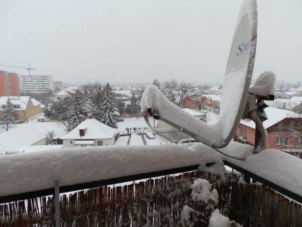 Zeleninová sekanička - obrázok 5