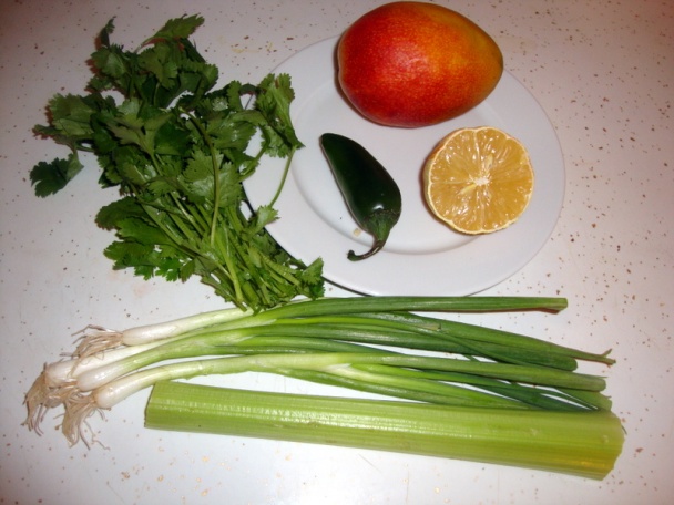 Salsa s mangom a koriandrom (fotorecept) - obrázok 1
