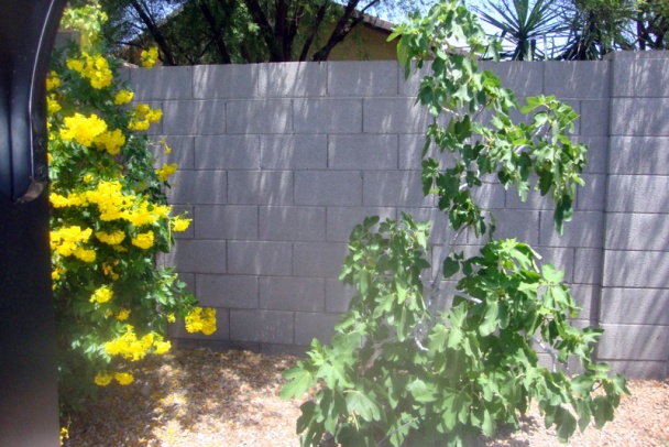 Zajačie kúsky s kozákom brezovým (fotorecept) - obrázok 8