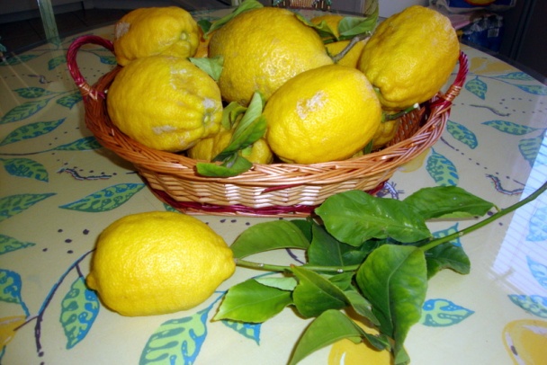 Špenátovo-šalátový prívarok (fotorecept) - obrázok 1