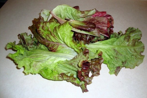 Špenátovo-šalátový prívarok (fotorecept) - obrázok 3