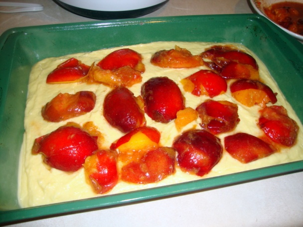 Koláč s ringlotami (fotorecept) - obrázok 6