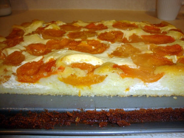 Krehký koláč s tvarohom a marhuľami (fotorecept) - obrázok 7