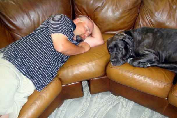 BBQ kuracie prsia marinované s tequilou (fotorecept) - obrázok 7