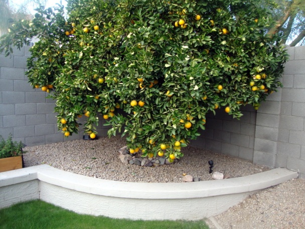 Kapustnica na rozlúčku s Des Moines Iowa (fotorecept) - obrázok 9