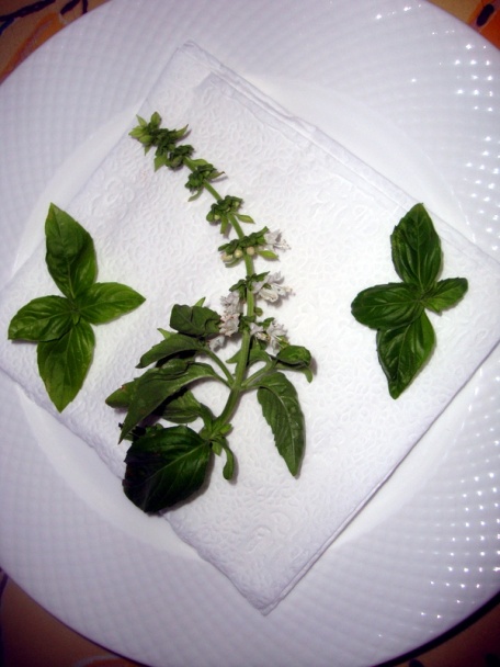 Rýchla diétna zeleninová polievka – LG – s tortellini (fotorecept) - obrázok 11