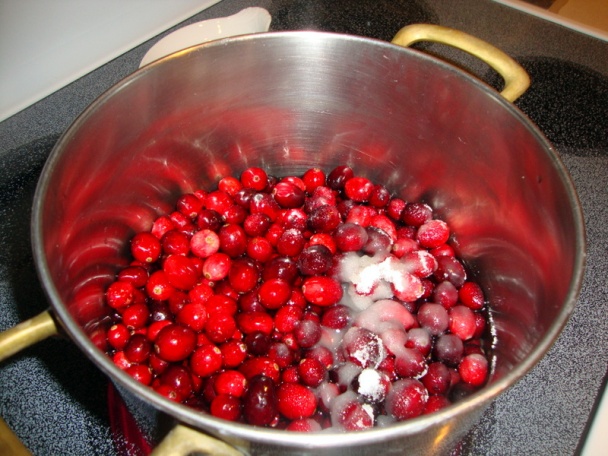 Dusená červená kapusta s jablkami a brusnicami (fotorecept) - obrázok 1