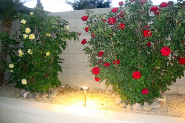 Leporelo sendvič s hovädzími hoblinkami (fotorecept) - obrázok 12