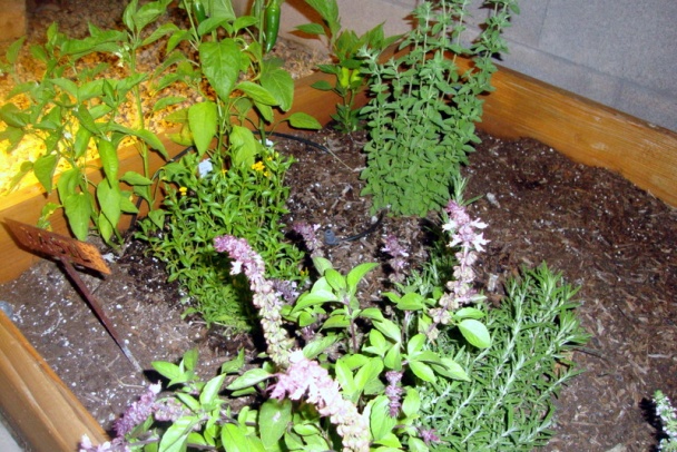 Hríbovo-šampiňónová omáčka – univerzál (fotorecept) - obrázok 12