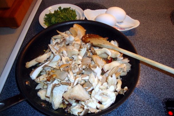 Hliva ustricová na póre a kapii (fotorecept) - obrázok 3