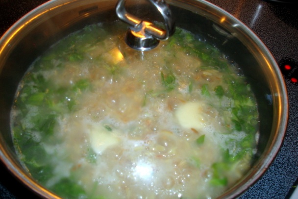 Hovädzie rebrá s feniklom (fotorecept) - obrázok 9