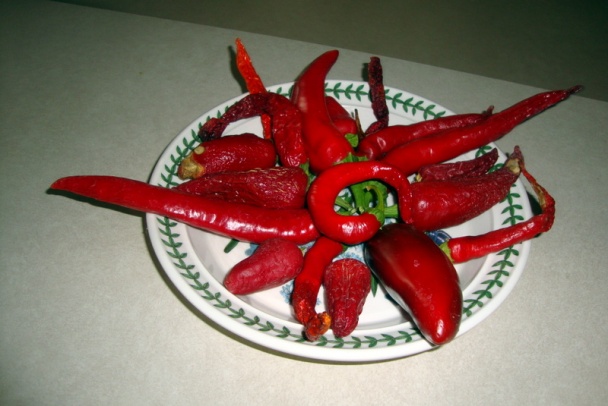 Losos a restovaný ružičkový kel s reďkovkami (fotorecept) - obrázok 8