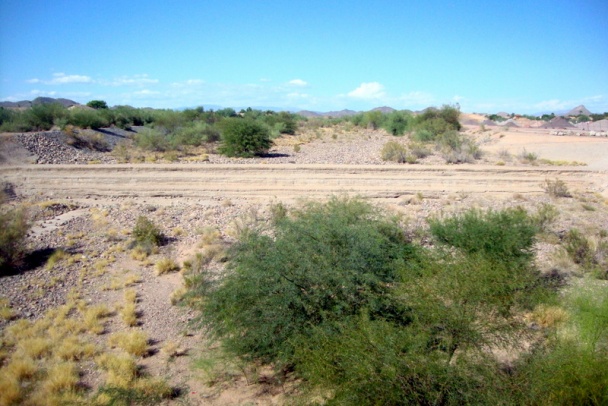 Restované reďkovky s bylinkami ako teplý šalát (fotorecept) - obrázok 6