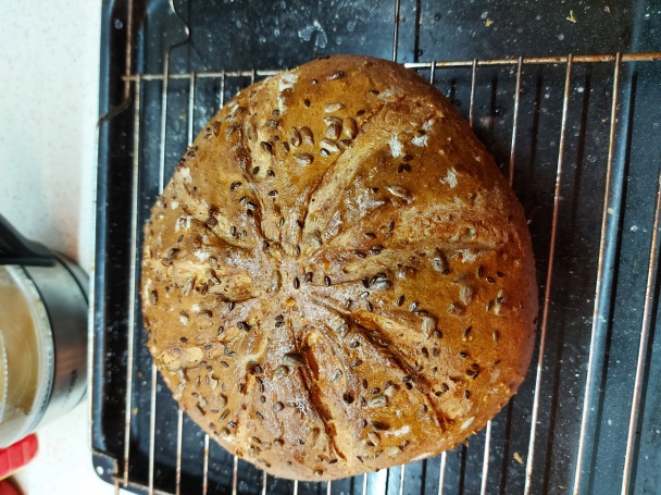 Domáci chlieb (fotorecept) - obrázok 15