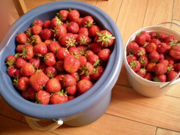 Jahodový džem (fotorecept) - obrázok 1