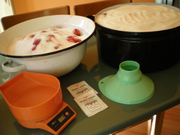 Jahodový džem (fotorecept) - obrázok 2