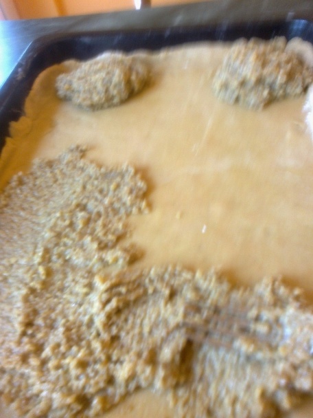 Medový mrežovník (fotorecept) - obrázok 5