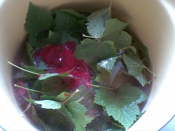 Sirup ríbezľový (fotorecept) - obrázok 2