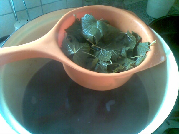 Sirup ríbezľový (fotorecept) - obrázok 3