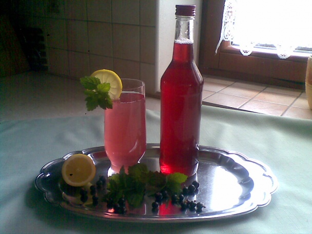 Sirup ríbezľový (fotorecept) - obrázok 5